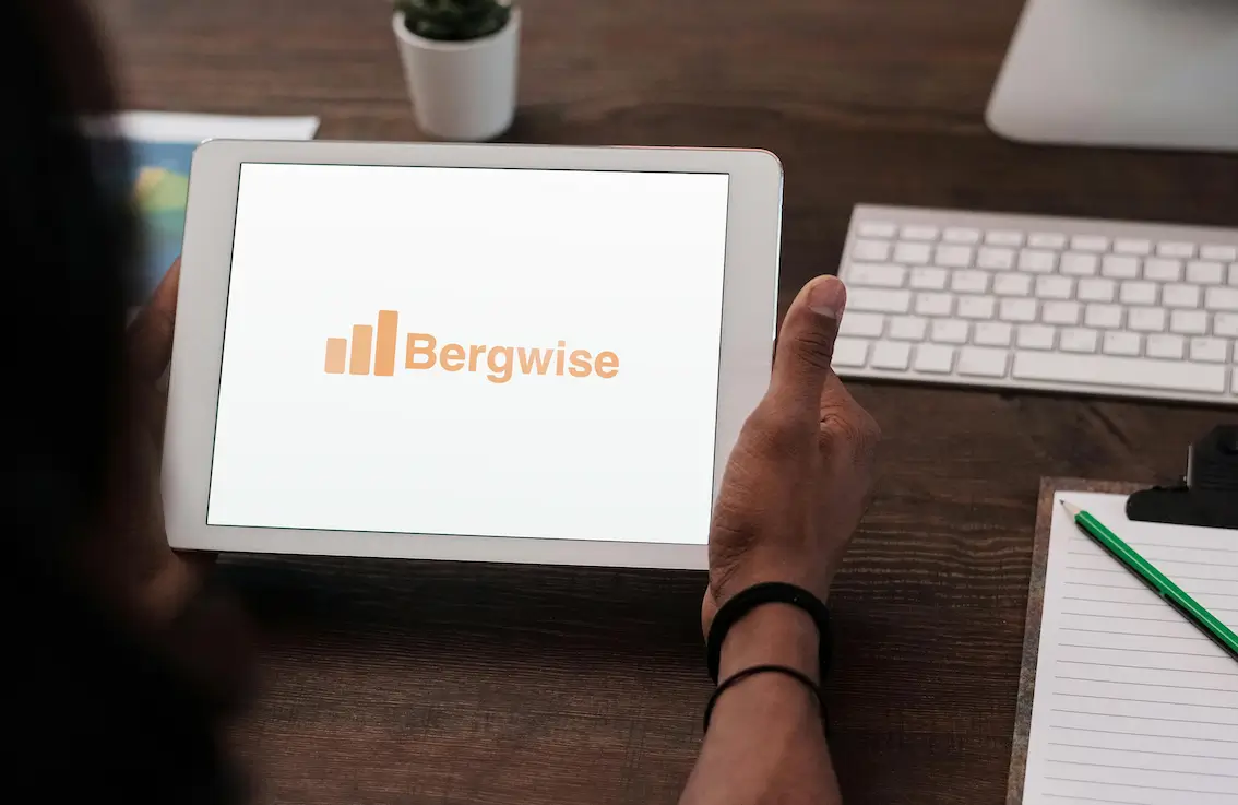 Bergwise Logo
